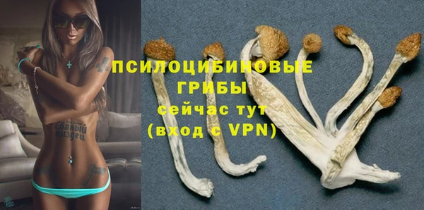 первитин Верхний Тагил