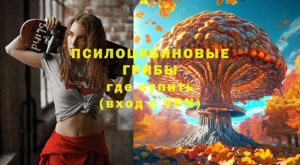 первитин Верхний Тагил
