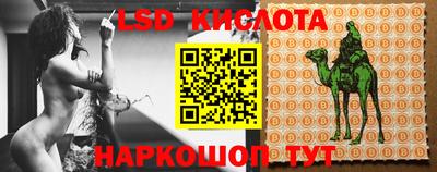 тгк Кандалакша