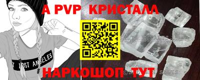 тгк Канаш